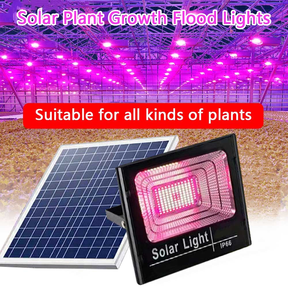 Outdoor Power And Plant - Solar LED Grow Light Full Spectrum