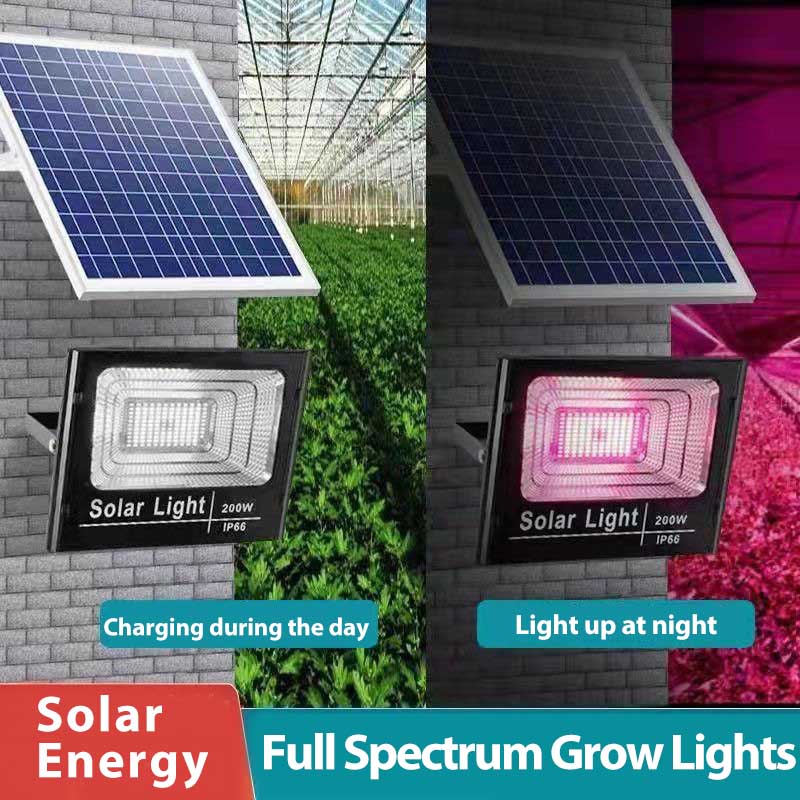 Solar LED Grow Light Full Spec - Outdoor Power And Plant recension och pris
