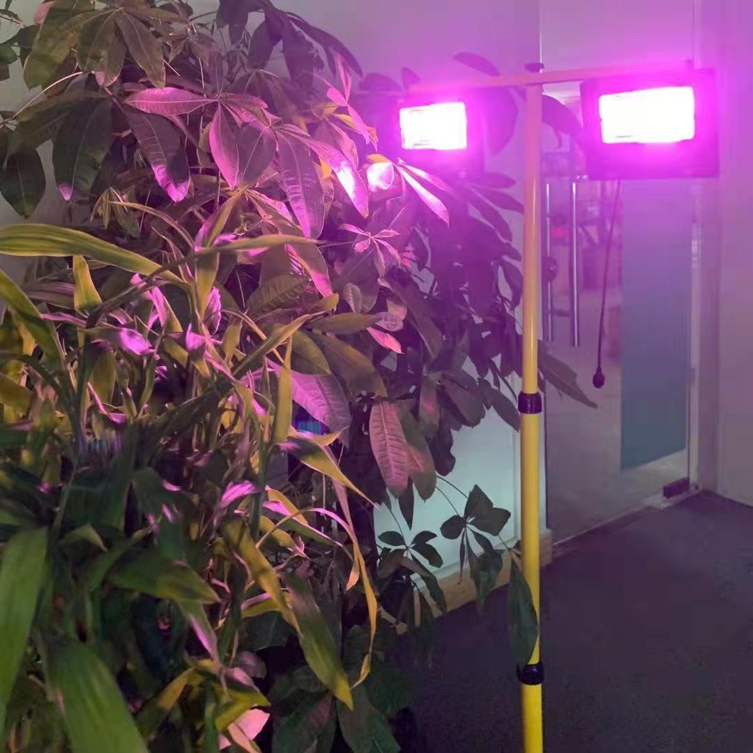 Solar LED Grow Light Full Spec - Outdoor Power And Plant recension och pris