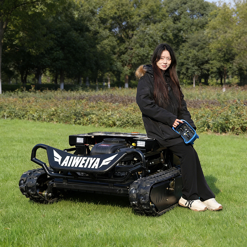 Customized Remote Control Lawn - Hedge Trimmer Cordless recension och pris