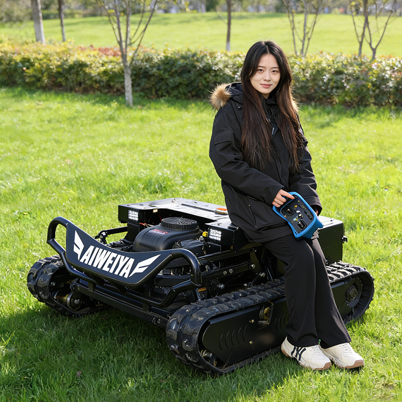 Customized Remote Control Lawn - Hedge Trimmer Cordless recension och pris
