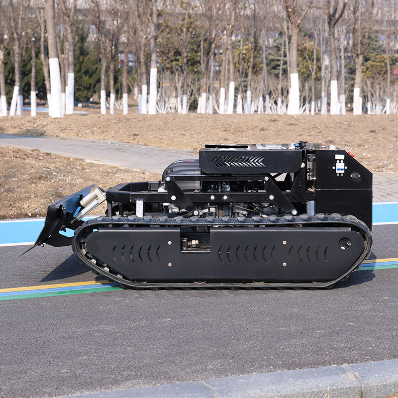 Customized Tracked Remote Cont - Hedge Trimmer Cordless recension och pris