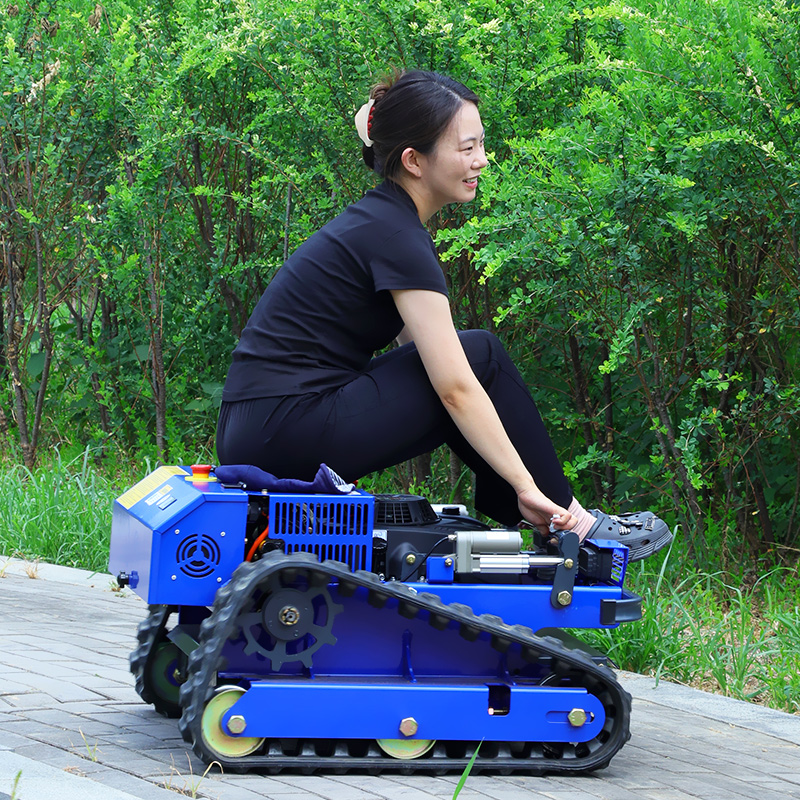 Customized Remote Controlled G - Hedge Trimmer Cordless recension och pris